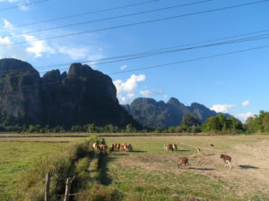 Vang Vieng countryside, Laos